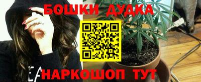 МДПВ Боровичи