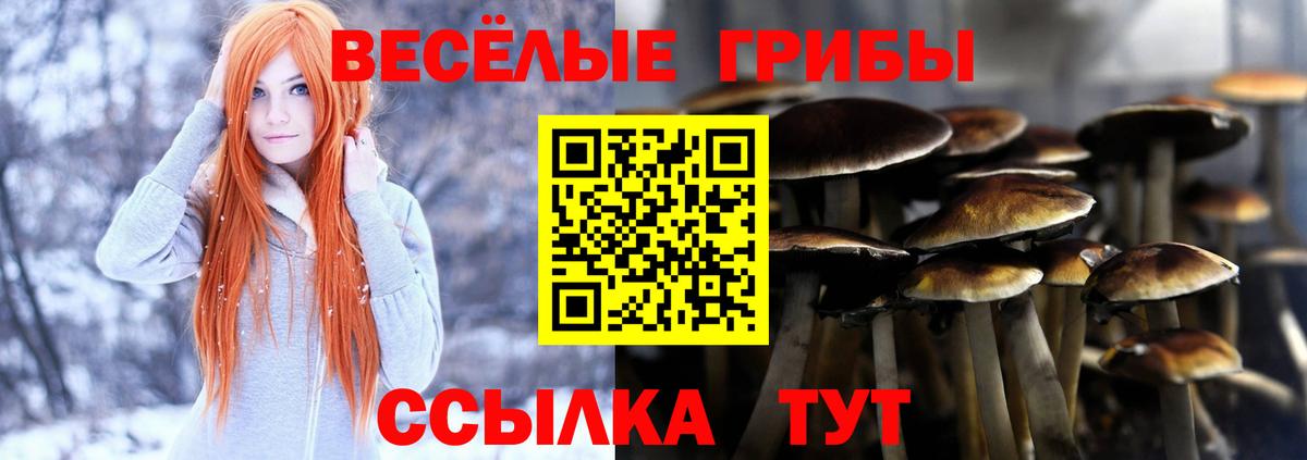 Галлюциногенные грибы GOLDEN TEACHER Кирово-Чепецк