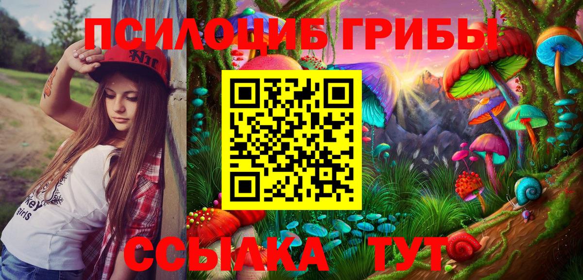где продают   Вход с VPN  Галлюциногенные грибы Psilocybe  Кирово-Чепецк  Галлюциногенные грибы Cubensis 